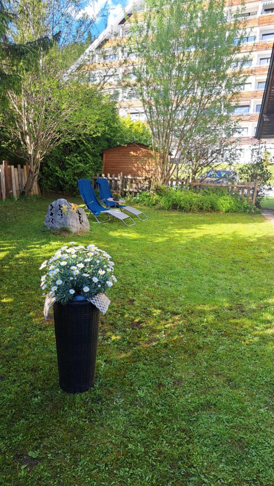 Sandras Ferienhaus Bungalow Sonnenalm Bad Mitterndorf Eksteriør billede